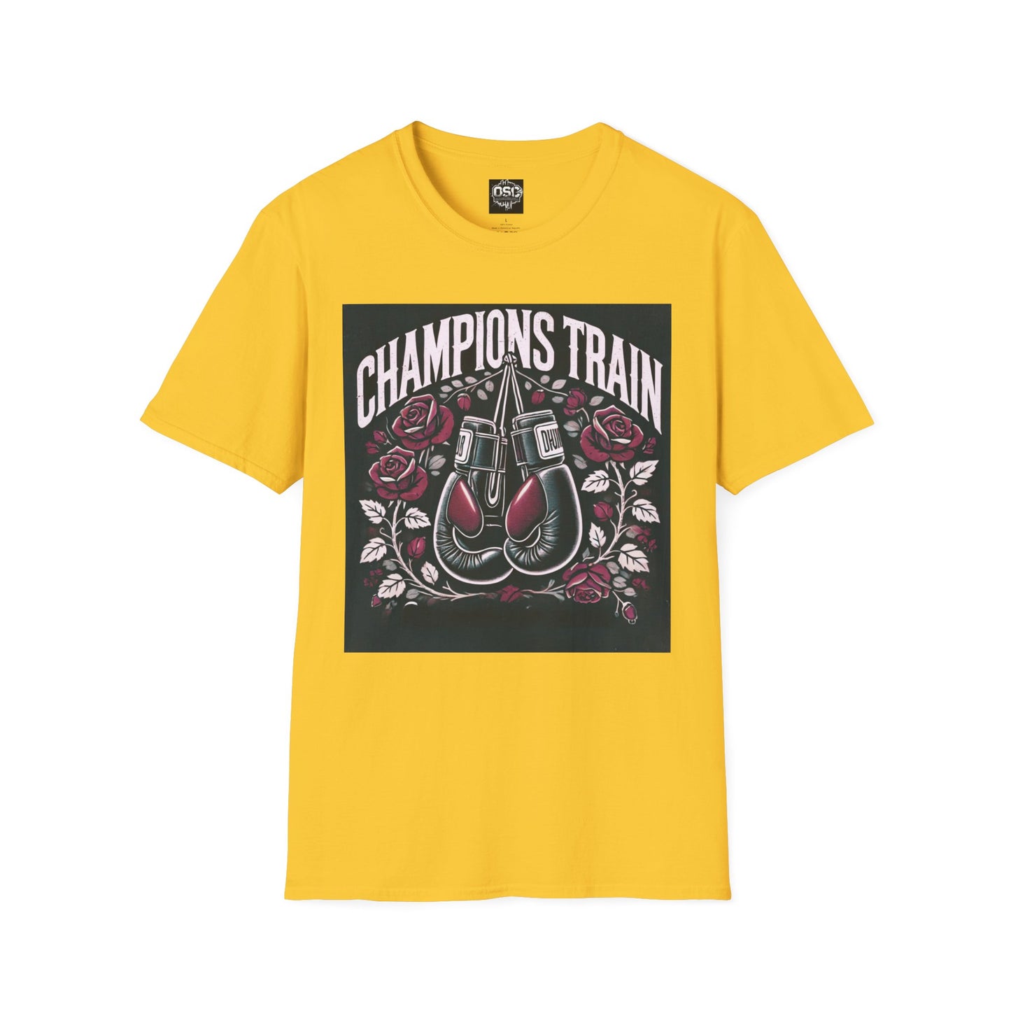 Champions Train Boxing Inpired Women's T-Shirt